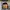 Kodak Streetwear Y2K Windbreaker Pria black yellow photo 4