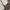 ZARA Streetwear Y2K Windbreaker Pria cream photo 6