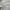 ZARA Streetwear Y2K Windbreaker Pria cream photo 5
