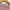 Love Bonito Casual Casual dress Wanita pink photo 5