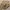 Vintage Streetwear Sweater Pria cream photo 3