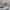Casual Glass Pria black yellow photo 8