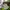 Adidas Sportswear Casual Sneakers Pria White