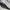 Nike Sportswear Sweatpants & Joggers Pria gray photo 4