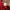 Sportswear Casual Jersey Pria red photo 8