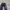 Champion Gorpcore Casual Casual pants Pria white black photo 3