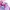 Polo Ralph Lauren Minimalist Formal shirt Pria pink photo 4