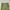 Casual Casual pants Pria green photo 4
