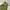 Casual Casual pants Pria green photo 7