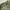 Casual Casual pants Pria green photo 6