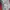 MLB Gorpcore Bomber jacket Pria orange photo 8