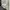 Dickies Vintage Streetwear Hoody Pria gray photo 5