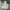 Dickies Vintage Streetwear Hoody Pria Gray