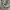 Dickies Vintage Streetwear Hoody Pria gray photo 3