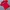 Y2K T-shirt Pria Red