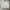 Schott NYC Vintage Casual Leather jacket Pria white photo 2