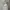 Schott NYC Vintage Casual Leather jacket Pria white photo 4