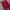 Streetwear Casual Casual pants Pria red photo 7