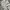 Streetwear Casual Casual pants Pria cream photo 5