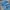 Streetwear Casual Casual pants Pria blue photo 5