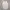 Casual Baju muslim Wanita cream photo 2