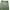 Earth, Music & Ecology Vintage Streetwear Casual pants Pria green photo 2