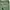 Earth, Music & Ecology Vintage Streetwear Casual pants Pria green photo 6