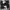 Staccato Minimalist Wanita black photo 5
