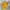Puma Sportswear Jersey Pria yellow photo 1