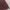 Casual Scarf Wanita burgundy green photo 5