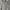 Obey Streetwear Skater T-shirt Pria gray photo 2