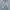 Streetwear Avant Garde Short Pria white gray photo 1