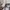 Hollister Streetwear Hoody Pria white black photo 4
