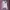 Hollister Streetwear Hoody Pria white black photo 7