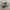 Adidas Gorpcore Indie Sneakers Pria white black photo 1