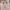 Chanel Casual Tote bag Wanita tan cream photo 1
