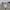 Vintage Streetwear Bomber jacket Pria cream photo 5