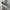 Nike Sportswear Sneakers Pria multicolor photo 3