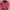 Carhartt Streetwear Casual Denim Jacket Pria Red
