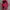 Carhartt Streetwear Casual Denim jacket Pria red photo 3