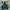 Reebok Vintage Sportswear Windbreaker Pria green photo 2