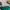 Reebok Vintage Sportswear Windbreaker Pria green photo 4