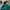 Reebok Vintage Sportswear Windbreaker Pria green photo 3