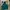 Reebok Vintage Sportswear Windbreaker Pria Green
