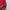 Piko Sports Vintage Y2K T-shirt Pria red photo 2