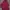 Puma Streetwear Jumper Pria red photo 2