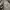 Spao Gorpcore Puffer jacket Pria gray photo 5