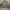 Spao Gorpcore Puffer jacket Pria gray photo 1