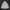 Casual Fleece Pria white photo 2
