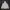 Casual Fleece Pria white photo 5